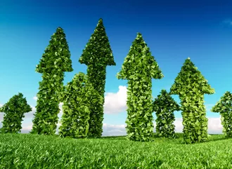 Sustainability on the rise