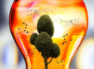A mini eco-system in a lightbulb