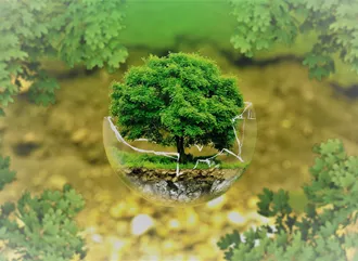 A tree growing out of a glass sphere
