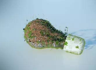 Lightbulb covered with nature