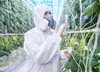 A scientist reviewing the yield of a genetically modified crop