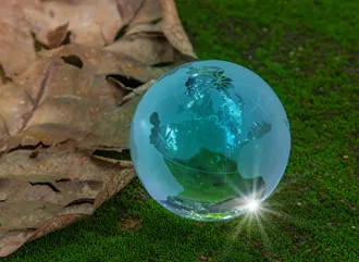 Some dead leaves next to a class globe with the light shining through it.