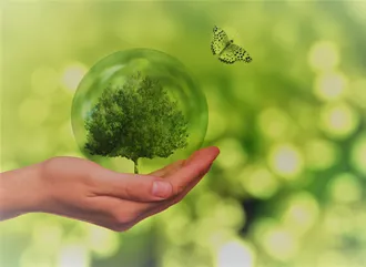 A green tree inside a sphere with a green butterfly flying around outside