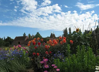 A beautiful summer garden in the Kent countryside