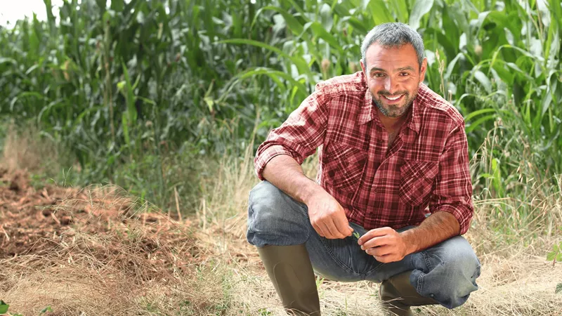 Smiling farm worker sitting in crops thinking about R&D.